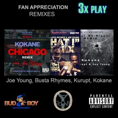 Fan Appreciation Remixes 3x Play 專輯 Kokane