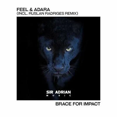 Brace For Impact (Ruslan Radriges remix) 专辑 Ruslan Radriges