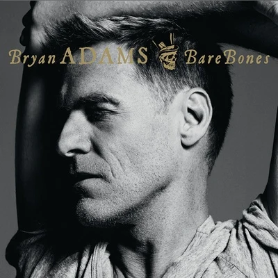 Bare Bones 專輯 Bryan Adams/Bruce Springsteen/Sting/Karaoke Diamonds/Guy Berryman