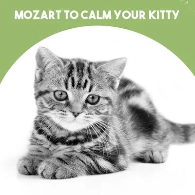 Mozart to calm your Kitty 專輯 János Starker