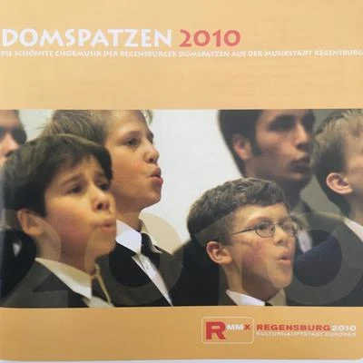 Domspatzen 2010 - Die schönste Chormusik der Regensburger Domspatzen aus der Musikstadt Regensburg 專輯 Consortium musicum München/Hanna Farinelli/Heiner Hopfner/Birgit Calm/Nikolaus Hillebrand