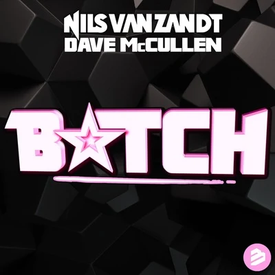 ***** (feat. Dave McCullen) 專輯 Pakito/Nils van Zandt