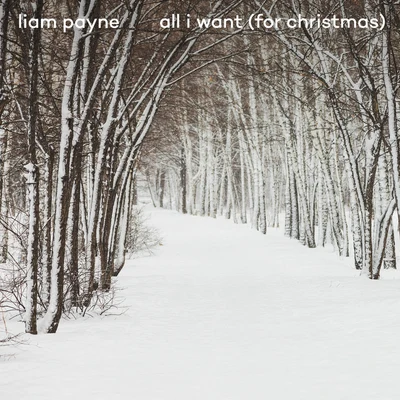 Liam PayneAlesso All I Want (For Christmas)