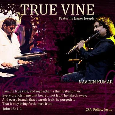 True Vine 專輯 Karsh Kale/Naveen Kumar