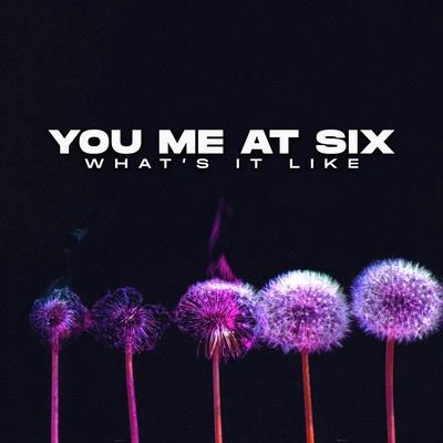 Whats It Like 專輯 You Me At Six