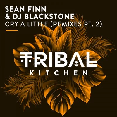 Cry a Little (Remixes Pt. 2) [Radio Edits] 專輯 DJ Blackstone