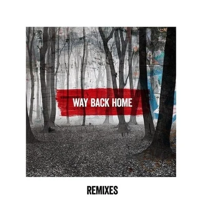 Way Back Home (Remixes) 專輯 MAKO