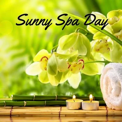 Sunny Spa Day 专辑 Deep Sleep White Noise/Crafting Audio/Healing Sounds for Deep Sleep and Relaxation