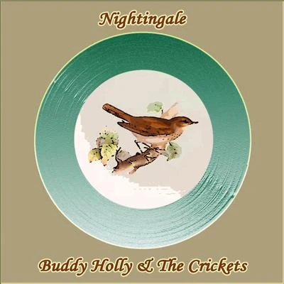 Nightingale 專輯 The Crickets