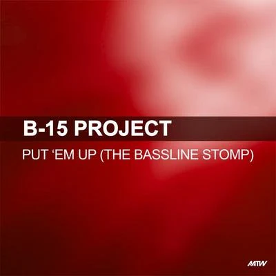 B15 Project PU TEM up (the bass line stomp)