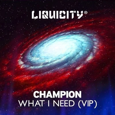 What I Need VIP 專輯 Concrete/Champion/Sly Boogy/Quiz/Bigg Temps