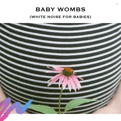 Baby Wombs (White Noise for Babies) 專輯 Baby Songs Academy