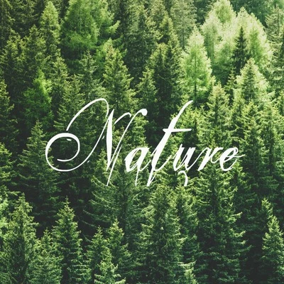 Nature 专辑 By The Water/Zen Music Garden/Deep Rain Sampling