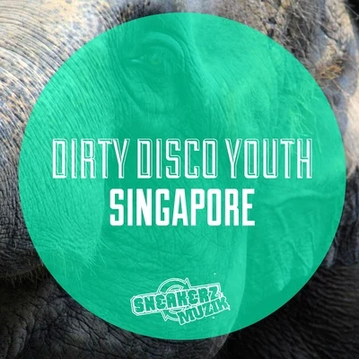 SingaporeZ 專輯 SonicC/CHEW FU/Dirty Disco Youth/Rhythm Masters/The Subs