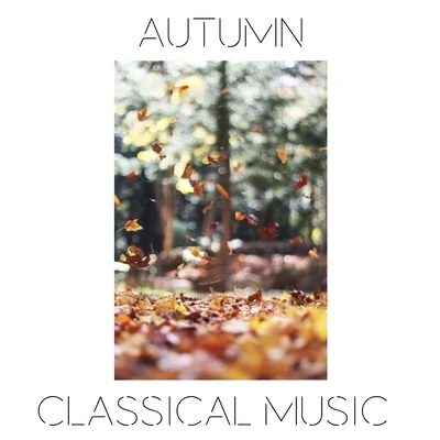 Autumn Classical Music 專輯 Philip Glass