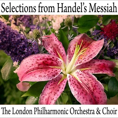 Selections From Handel&#x27;s Messiah 专辑 Alfredo Campoli/THE LONDON PHILHARMONIC ORCHESTRA/Sir Arthur Bliss