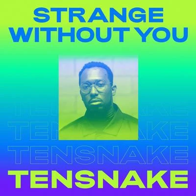 Strange Without You 专辑 Tensnake