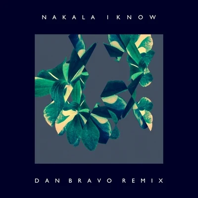 I Know (Dan Bravo Remix) 专辑 Nakala