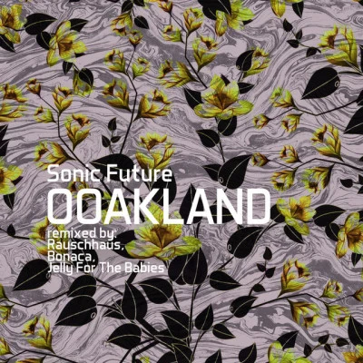 Ooakland 專輯 Sonic Future