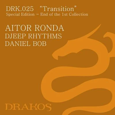 Transition 专辑 Djeep Rhythms/Andreew/Christian Hornbostel/Franz Costa/Sudo