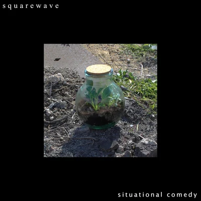 Situational Comedy 專輯 Squarewave