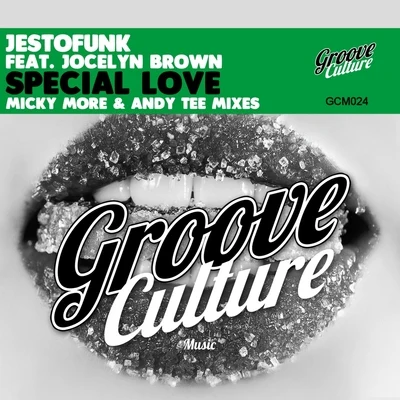 Special Love (Micky More & Andy Tee Mixes) 專輯 Jestofunk