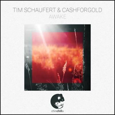 Awake 專輯 Tim Schaufert/Subsets/CASHFORGOLD