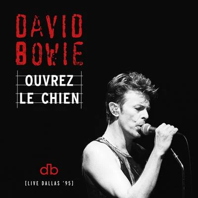 Teenage Wildlife (Live at the Starplex Amphitheater, Dallas, 13th October, 1995) 專輯 David Bowie