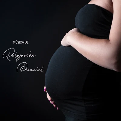 Música de Relajación Prenatal: Sonidos Tranquilos Para Usted Y Su Bebé 專輯 Nature Music Pregnancy Academy/Pregnancy Relaxation Orchestra