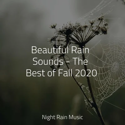 Beautiful Rain Sounds - The Best of Fall 2020 专辑 Sounds Of Nature: Thunderstorm/Nature Recordings/nature & Sounds Background