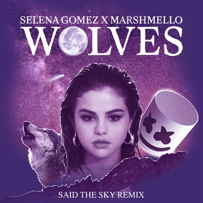 Wolves (Said The Sky Remix) 專輯 Said The Sky/Elekid