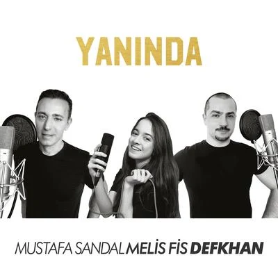 Yanında 专辑 Capkekz/Toni der Assi/Defkhan/ZH/Microdon