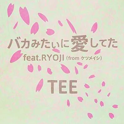 TEE バカみたいに愛してた feat. RYOJI (from ケツメイシ)