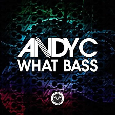 What Bass 专辑 Andy C