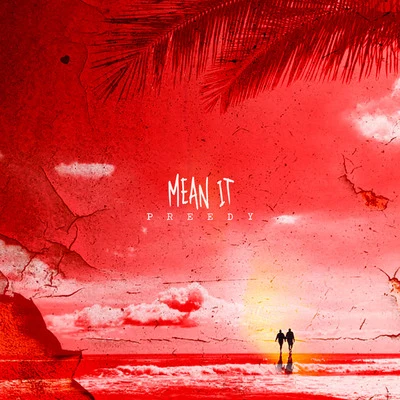 Mean It 專輯 Preedy/Stadic