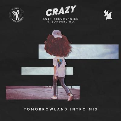 ZonderlingJoachim Pastor Crazy (Tomorrowland Intro Mix)