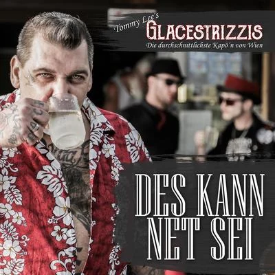 DES KANN NET SEI 專輯 Tommy Lee/DJ Aero/Robbie Rivera