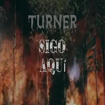 Sigo aquí 專輯 Turner