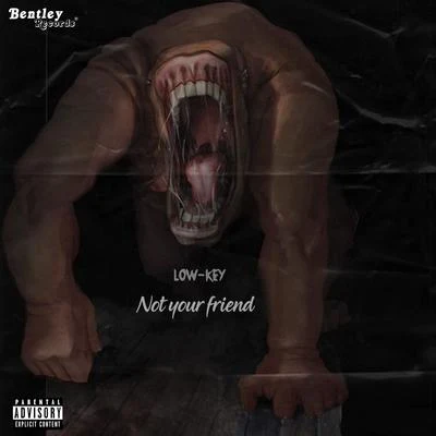 Not Your Friend 專輯 Lowkey/Kardinal