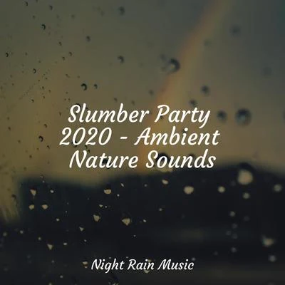 Slumber Party 2020 - Ambient Nature Sounds 专辑 Nursery Rhymes ABC/Baby Sleep Aid/Children's Music