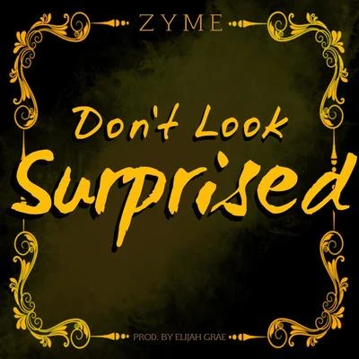 Dont Look Surprised 專輯 Snafu/Zyme