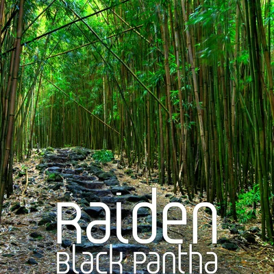 Black Pantha 專輯 Raiden/Thomas Gold