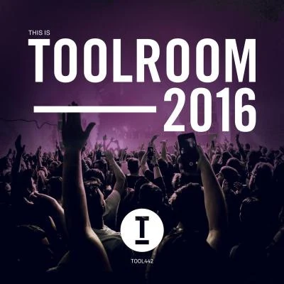 This Is Toolroom 2016 專輯 Physical Therapy