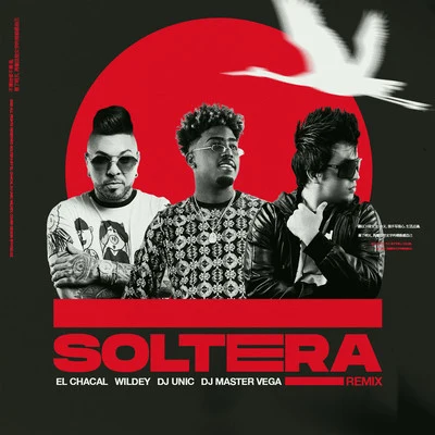 Wildey Soltera (Remix)