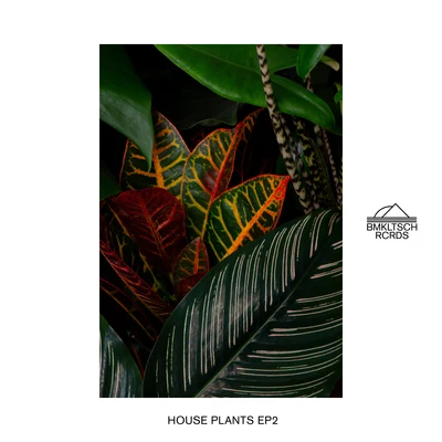 House Plants EP 2 專輯 Hyslop/Qubiko/Alex Twitchy/Funkerman/Mendo