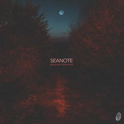 Second Chances 專輯 Seanote