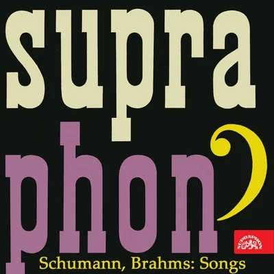 Schumann, Brahms: Songs 专辑 Michal Zabejda - Sumický/Alfred Holecek