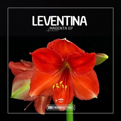 Magenta 专辑 Leventina