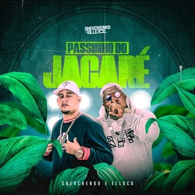 Passinho do Jacaré 專輯 Shevchenko e Elloco/MC Levin