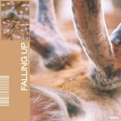 Falling Up 專輯 Layne/Dugong Jr/Fossa Beats/JANEVA